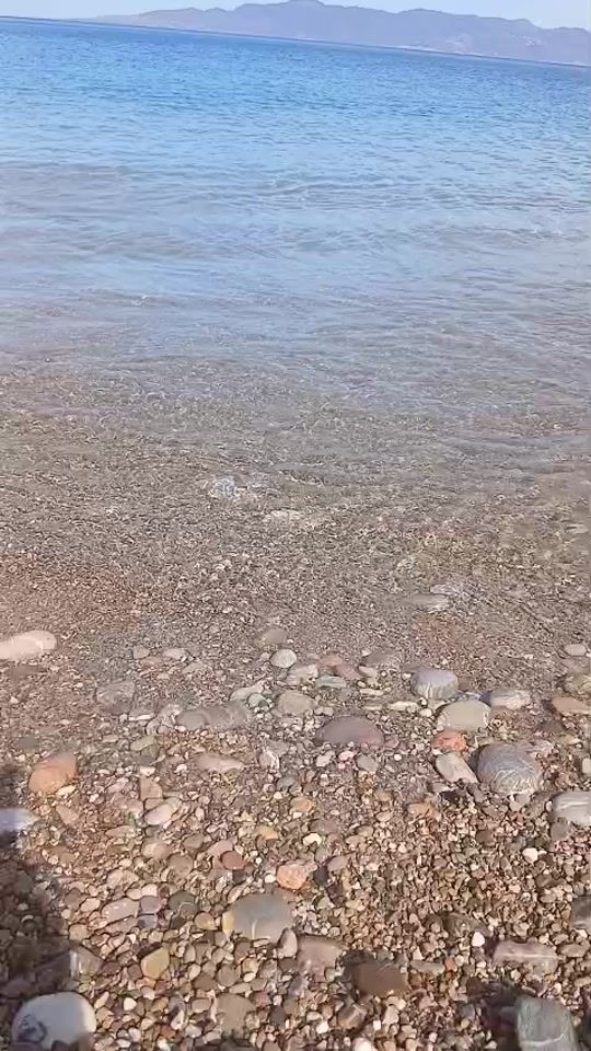 TikTok video thumbnail by nourfati78