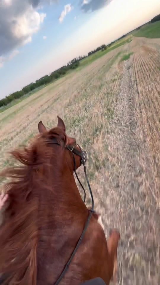 TikTok video thumbnail by palma.stella