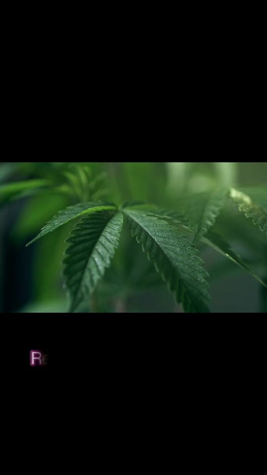 TikTok video thumbnail by reminder_allah1