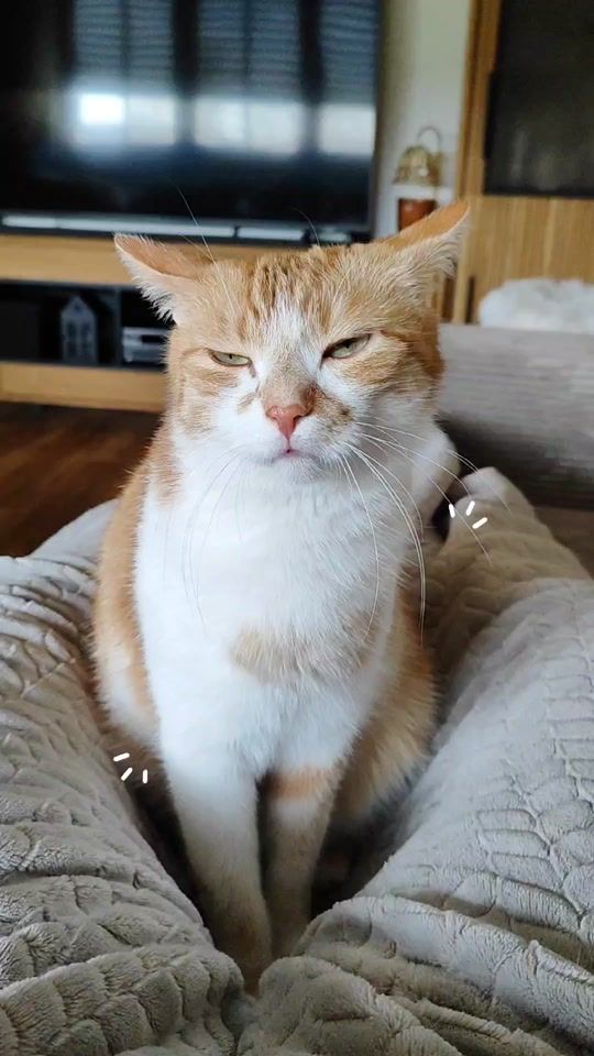 TikTok video thumbnail by _hejdine_
