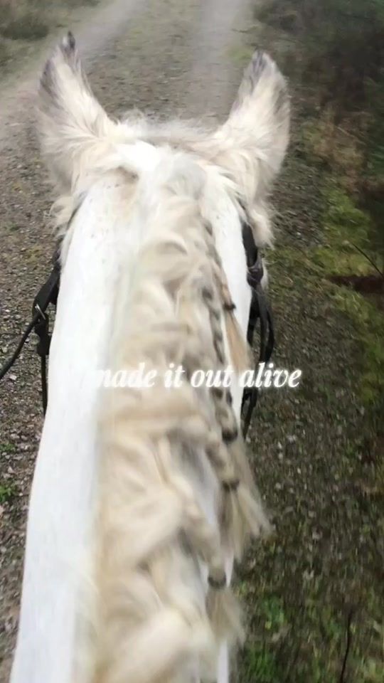 TikTok video thumbnail by orlamullins