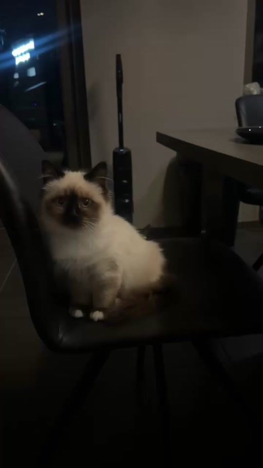 TikTok video thumbnail by giulia1232001