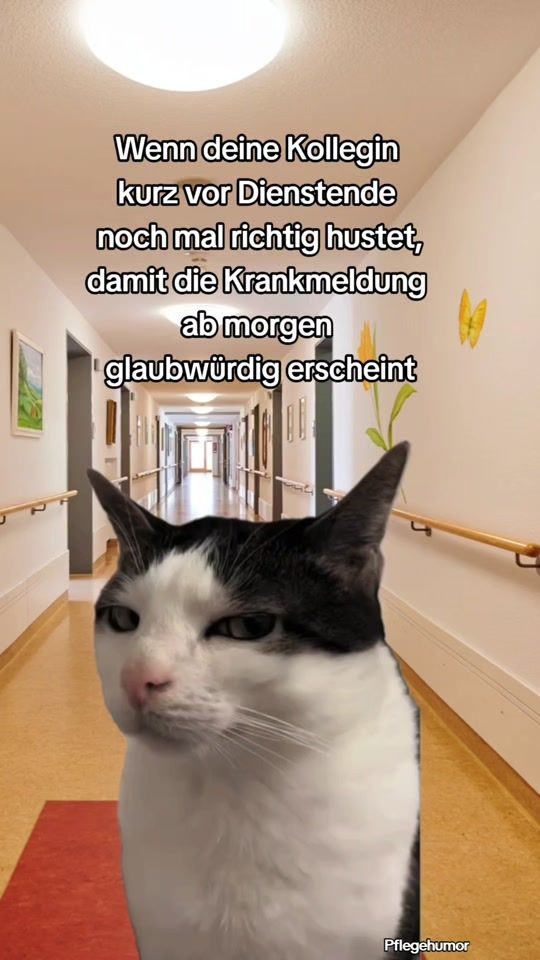 TikTok video thumbnail by worst_story_ever_