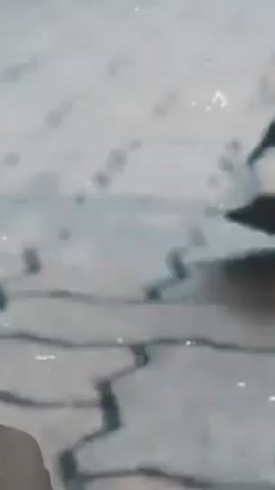 TikTok video thumbnail by hitetofficial