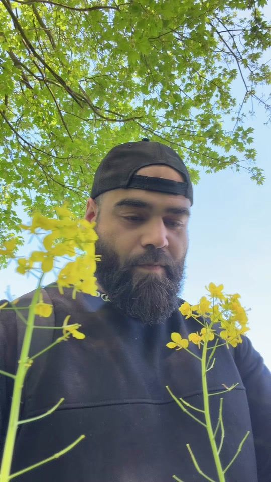 TikTok video thumbnail by eqbal.safi