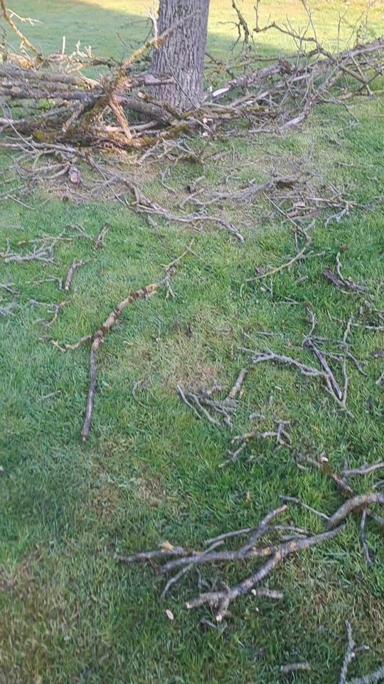 TikTok video thumbnail by igorburca0