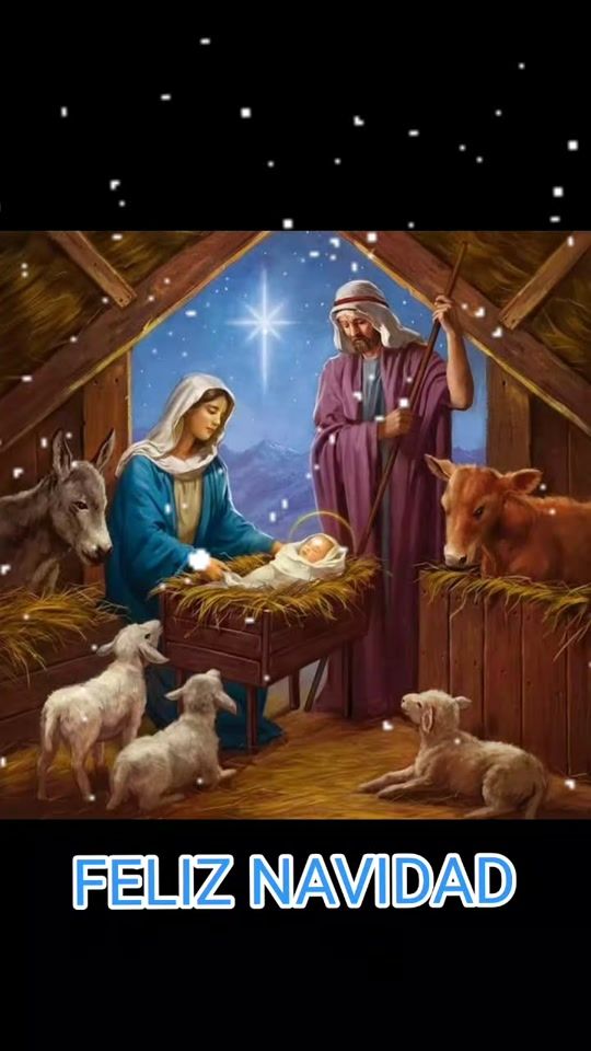 TikTok video thumbnail by mariadelcarmenmarinf