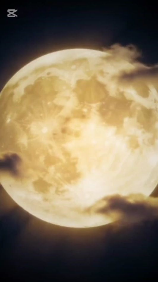 TikTok video thumbnail by wolverine6467