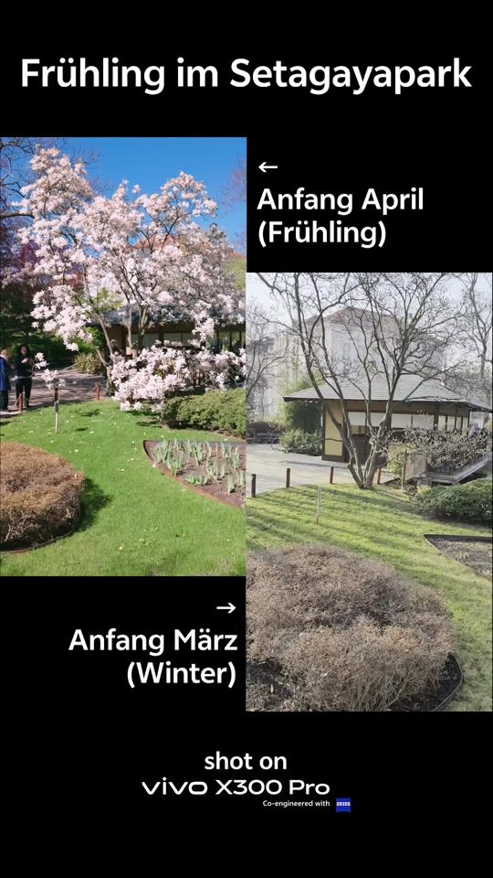 TikTok video thumbnail by vivo_austria