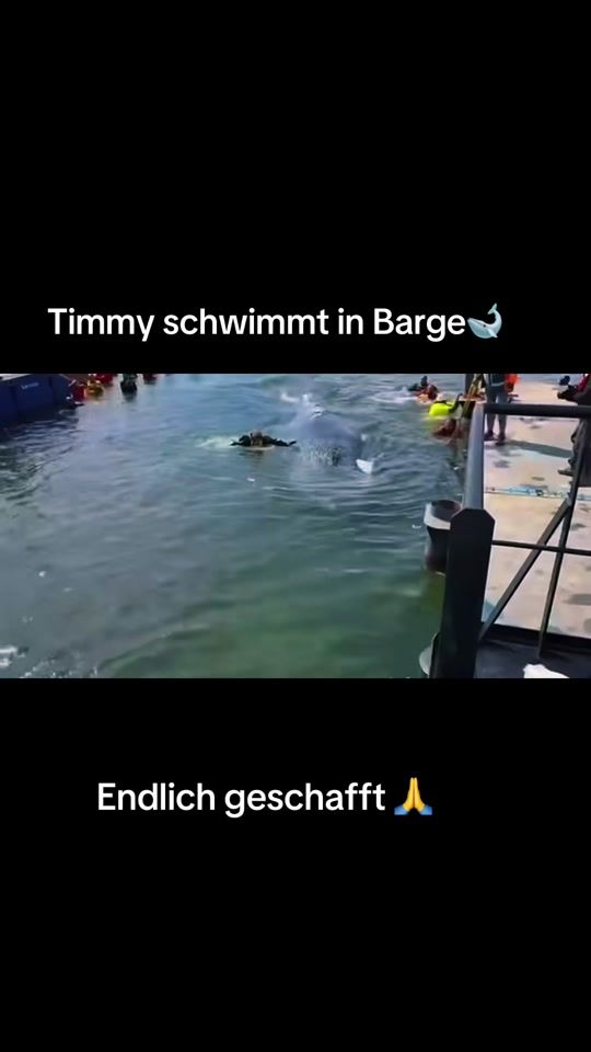 TikTok video thumbnail by tobi_ausgera