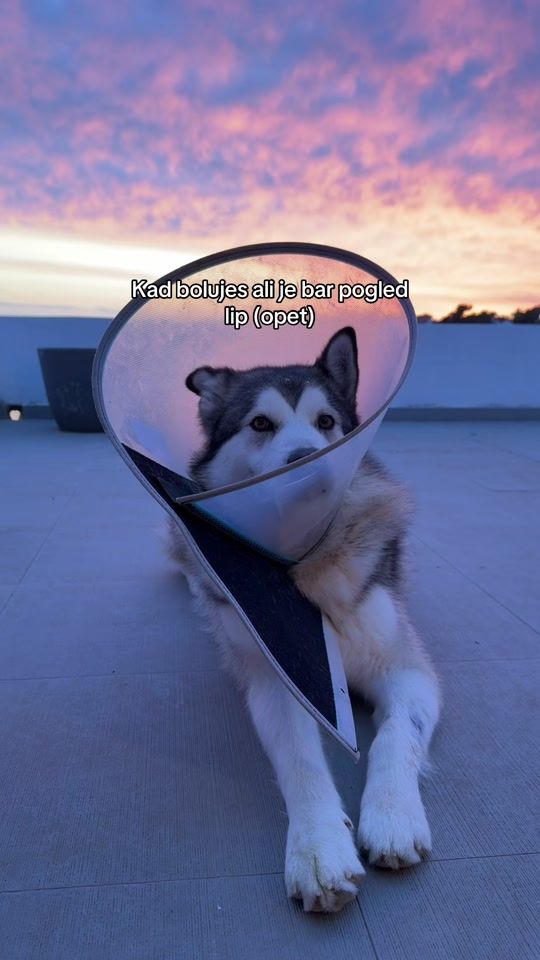 TikTok video thumbnail by grzetova