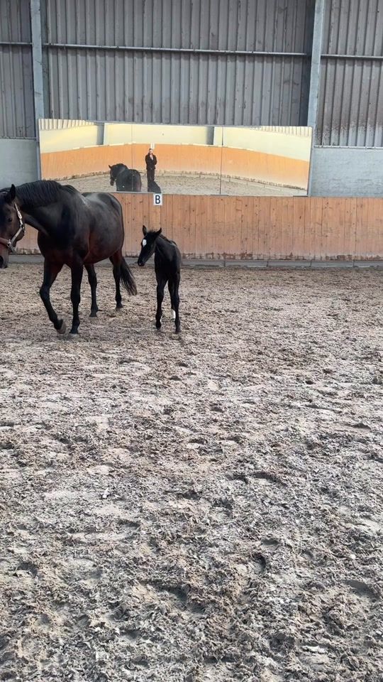 TikTok video thumbnail by bestoftasi