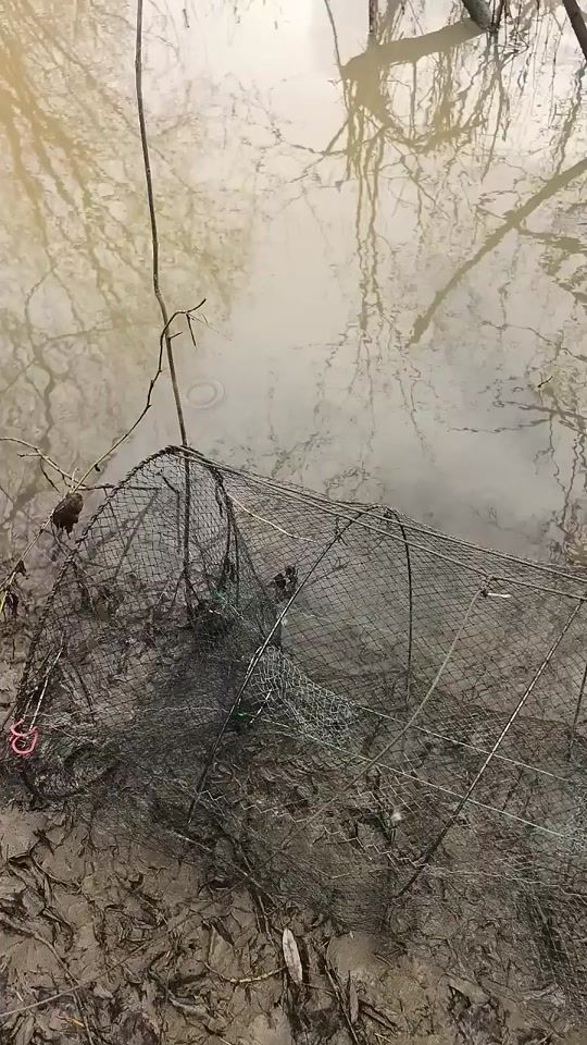 TikTok video thumbnail by angler_kh