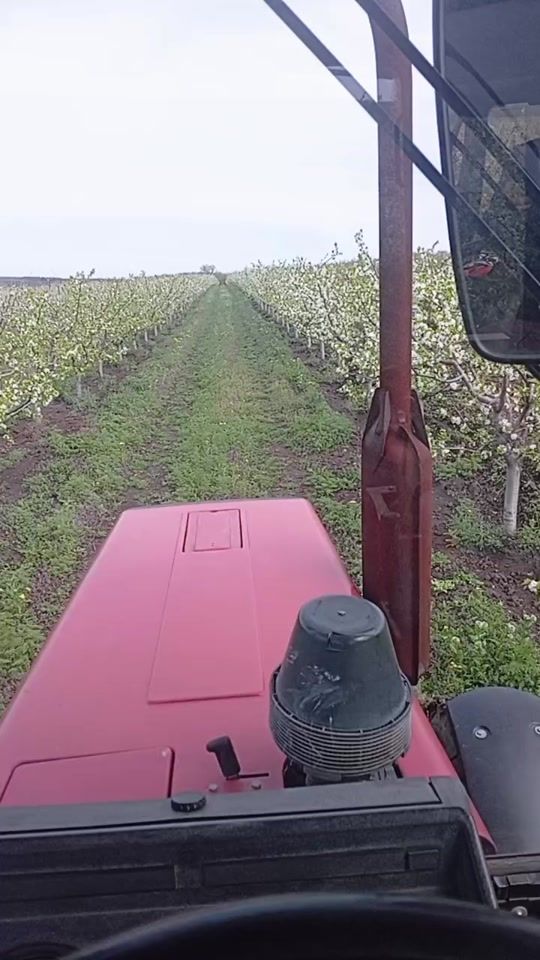 TikTok video thumbnail by singurpeveata2
