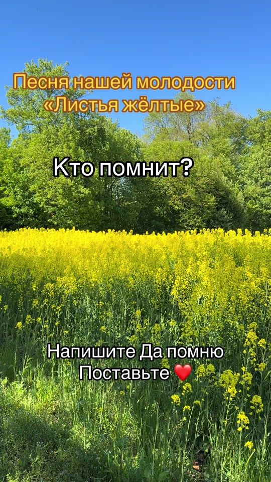 TikTok video thumbnail by like_this_live7777
