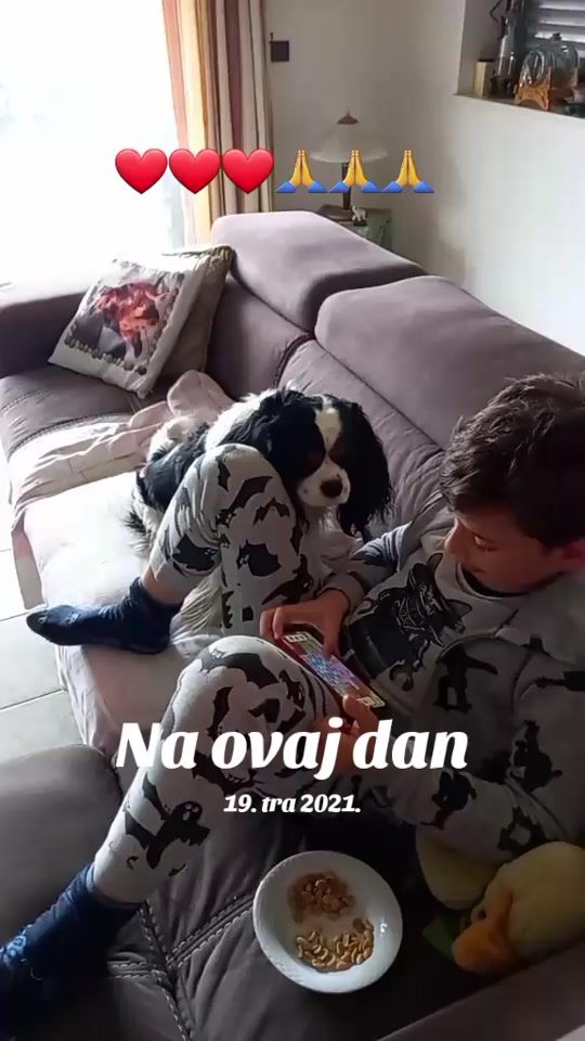 TikTok video thumbnail by verasumic