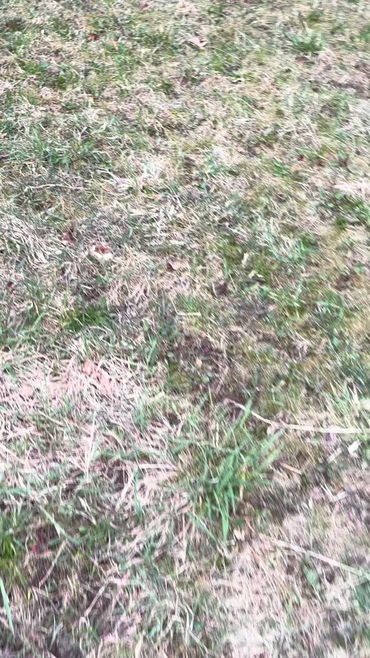 TikTok video thumbnail by wiktoreq16