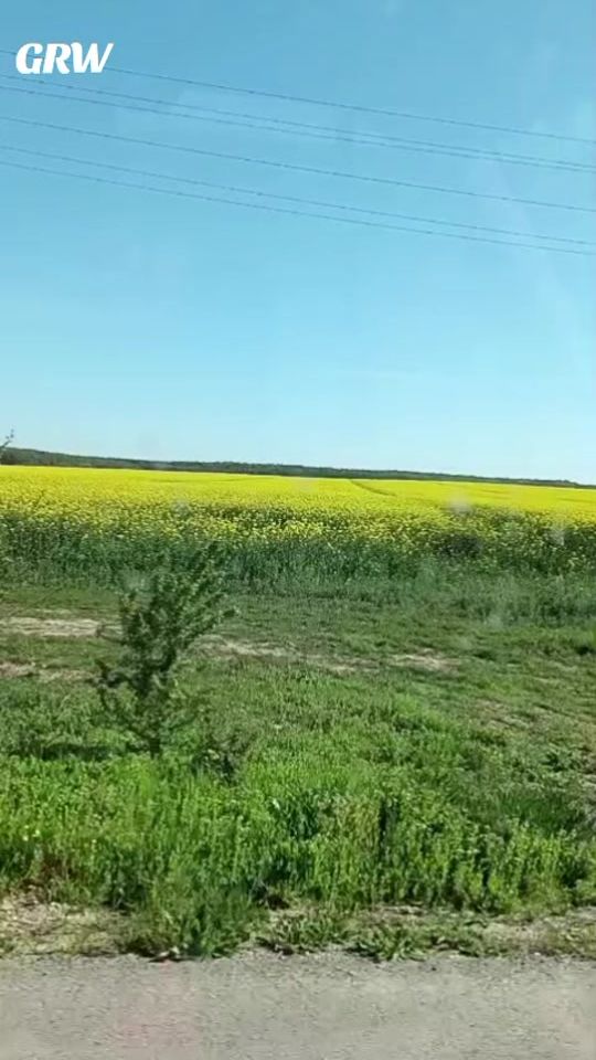 TikTok video thumbnail by danyela__grw247