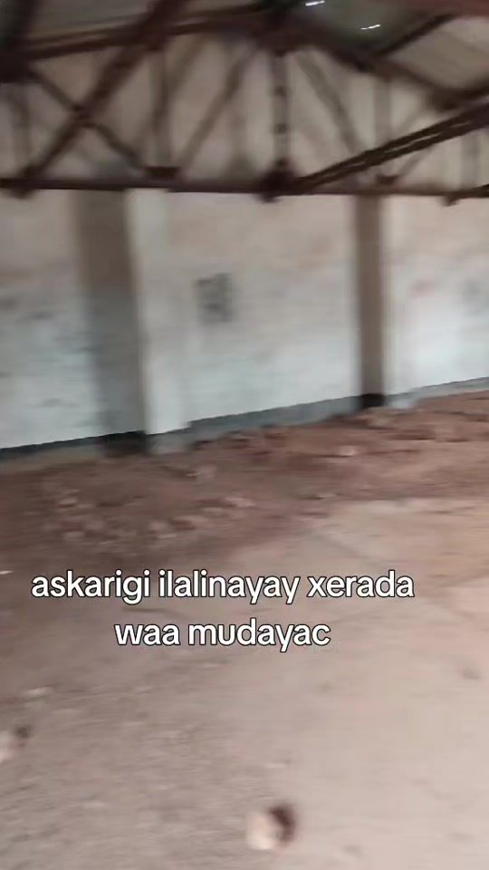 TikTok video thumbnail by dalmaar5