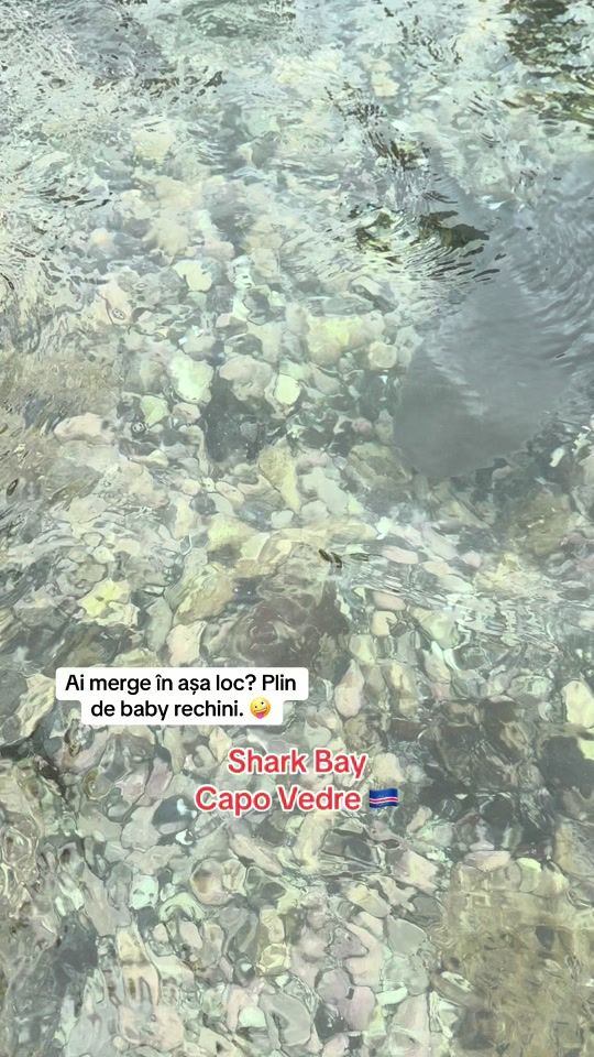 TikTok video thumbnail by mocanuiris