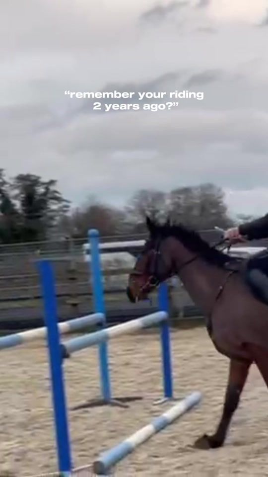 TikTok video thumbnail by realistic_equine