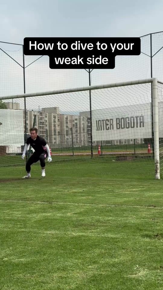 TikTok video thumbnail by gripmode