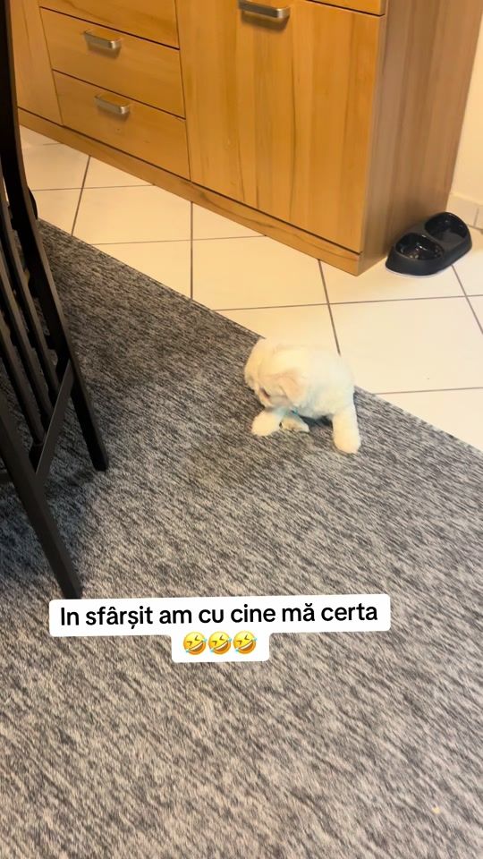 TikTok video thumbnail by annamarya2211