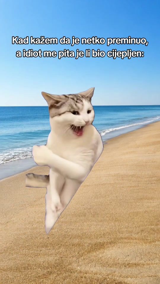 TikTok video thumbnail by frane_franz