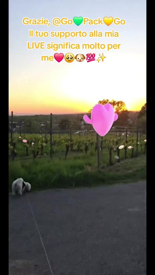 TikTok video thumbnail by ringodance_official