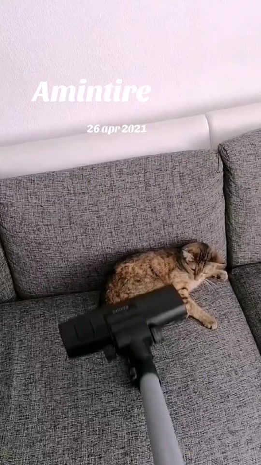 TikTok video thumbnail by r.bussines0