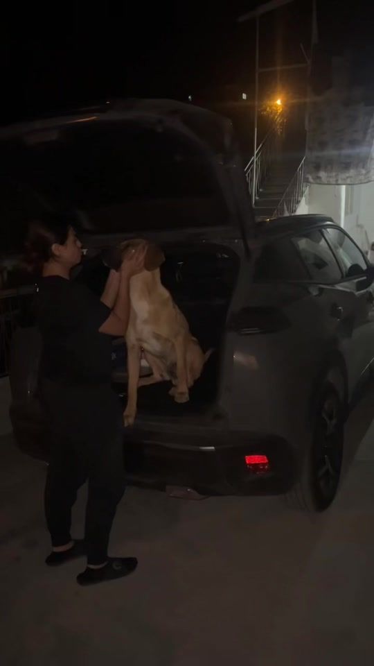 TikTok video thumbnail by leyysplace