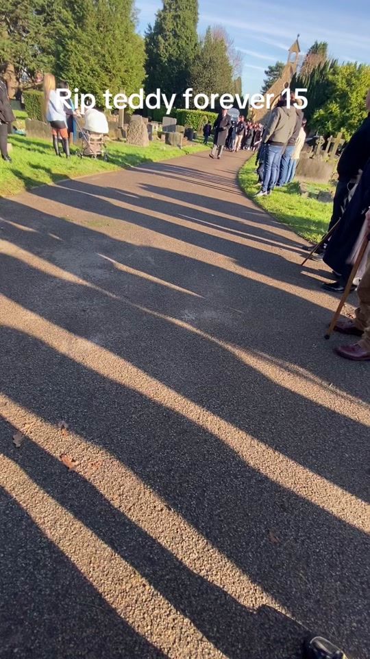 TikTok video thumbnail by mason_doran_16