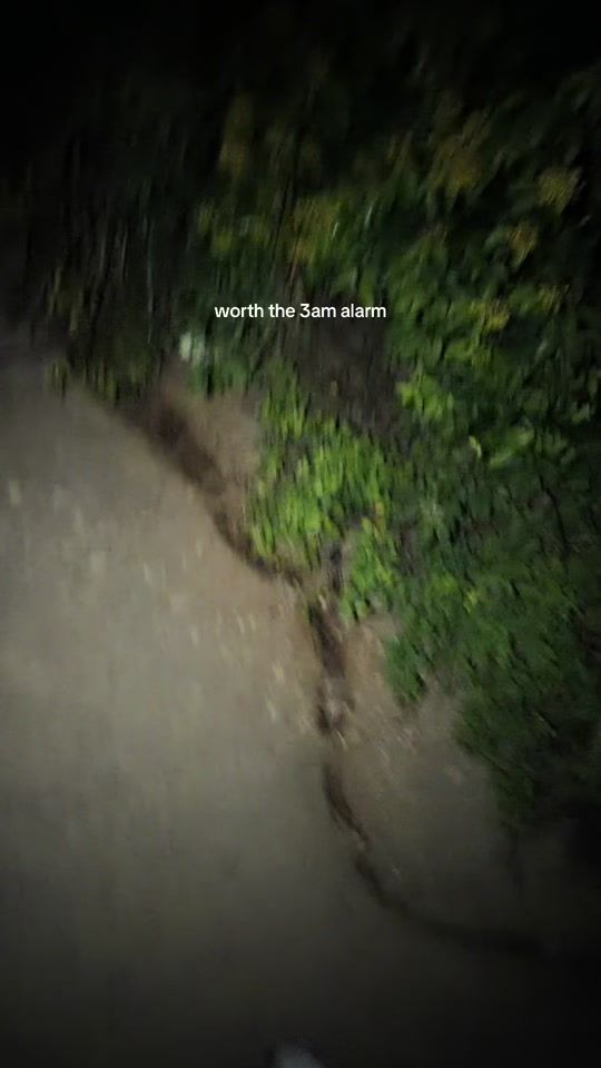 TikTok video thumbnail by leonor_macedo