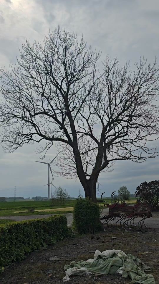 TikTok video thumbnail by scorpion200114