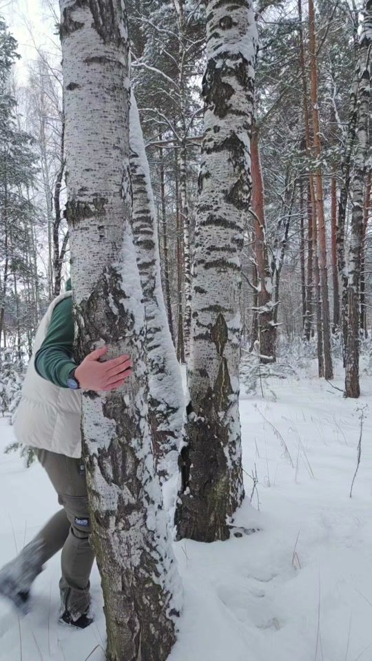 TikTok video thumbnail by evdokimof.life