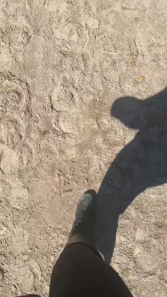 TikTok video thumbnail by umilio_m