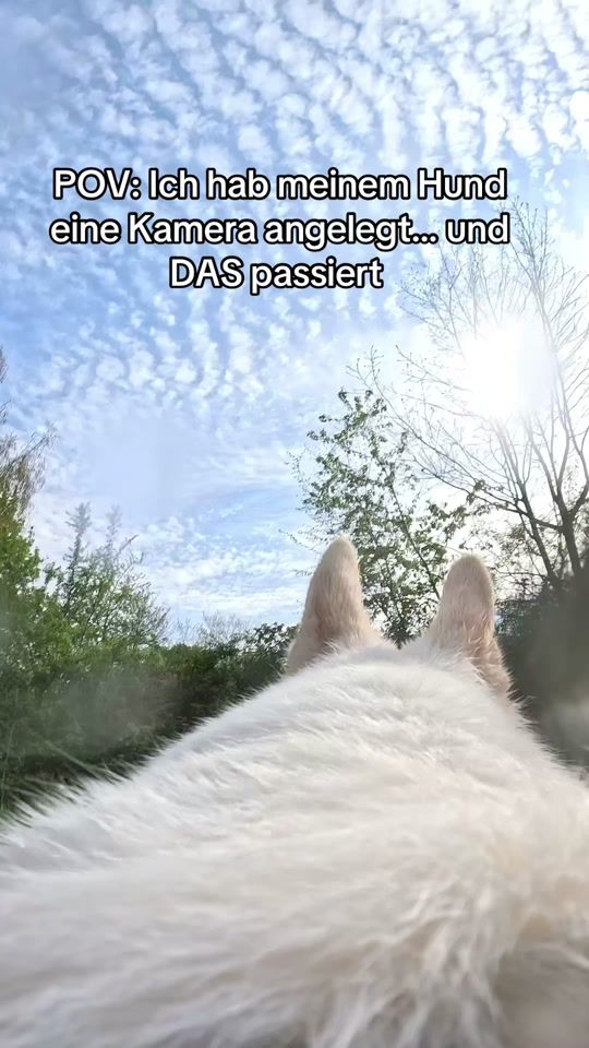 TikTok video thumbnail by wannabe.wolves