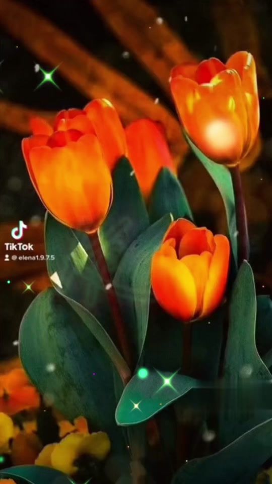 TikTok video thumbnail by elena1.9.7.5