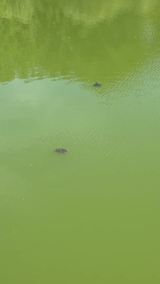 TikTok video thumbnail by ebrucan786