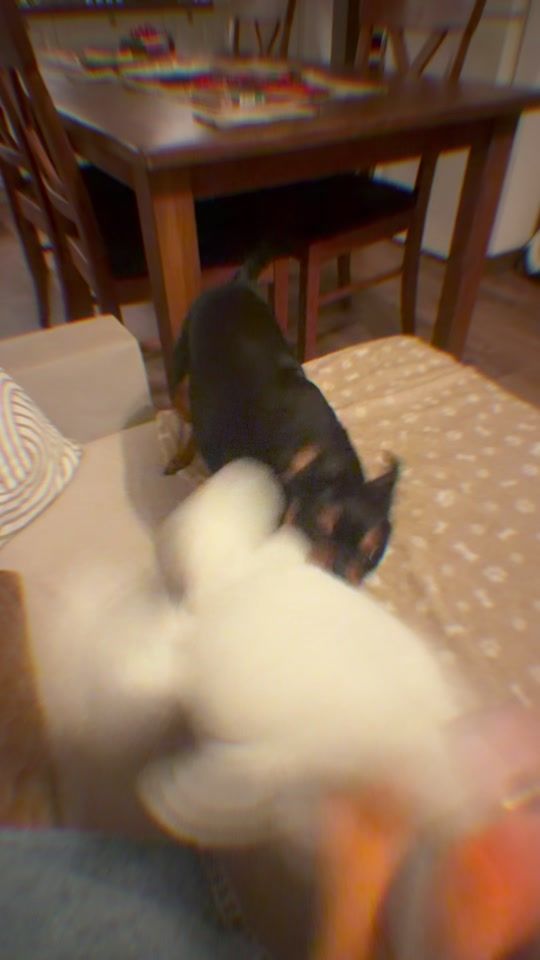TikTok video thumbnail by holisticyou11