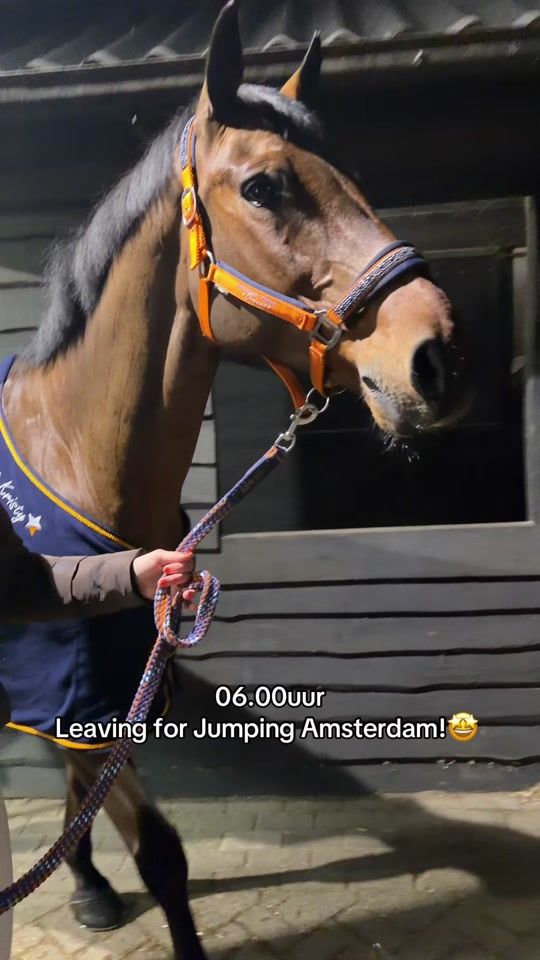 TikTok video thumbnail by realkristysnepvangers