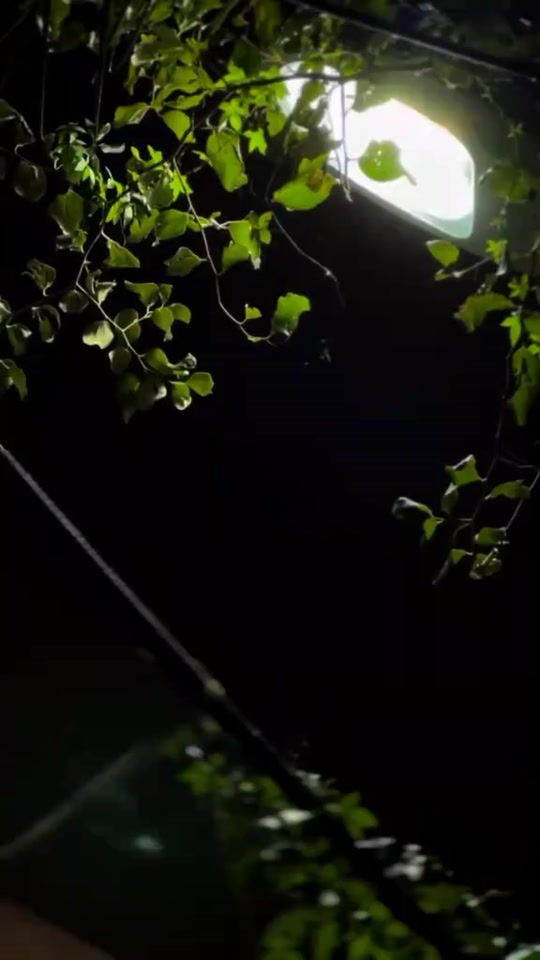TikTok video thumbnail by zinzon4