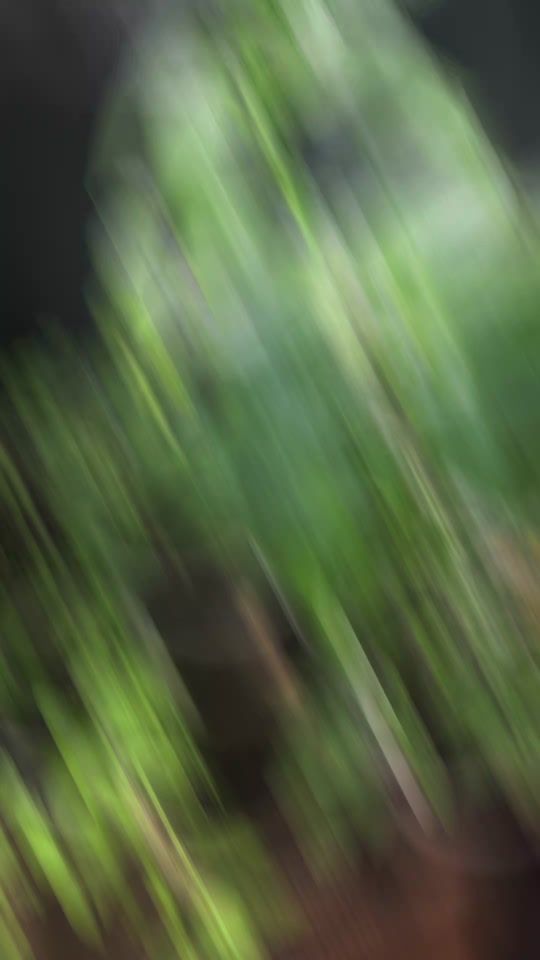 TikTok video thumbnail by krzarola