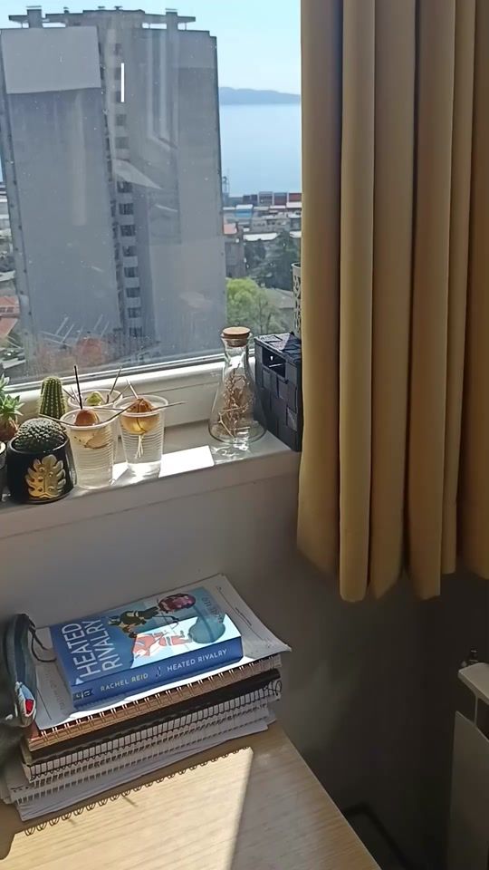 TikTok video thumbnail by lslibrary7