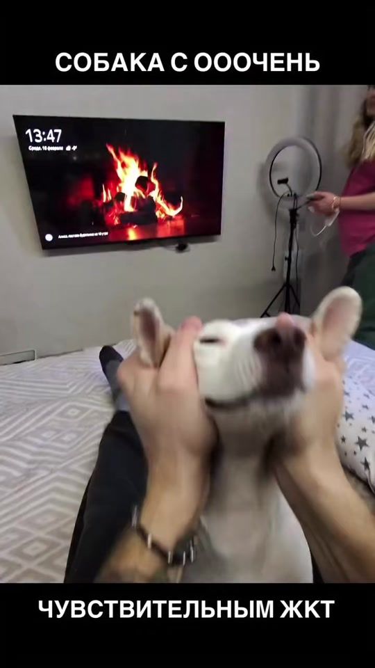TikTok video thumbnail by skromnyanton