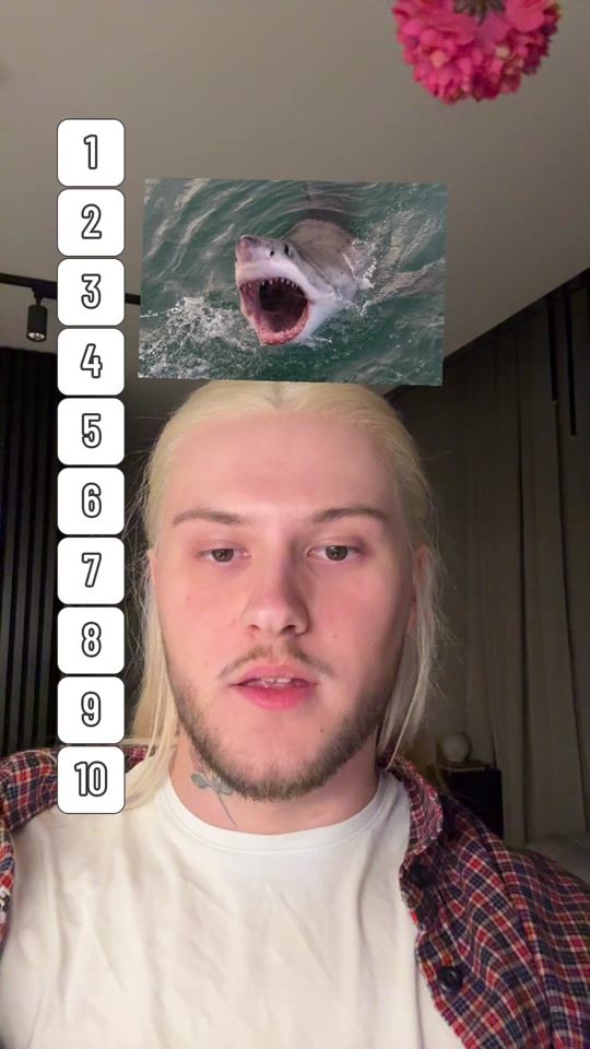 TikTok video thumbnail by pan.doman