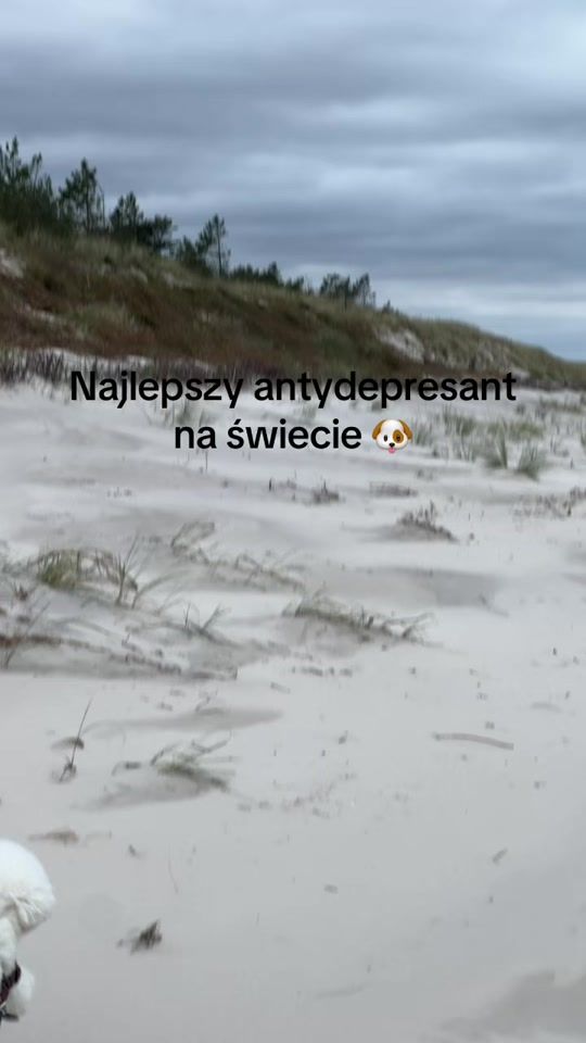 TikTok video thumbnail by chodakowskaewa