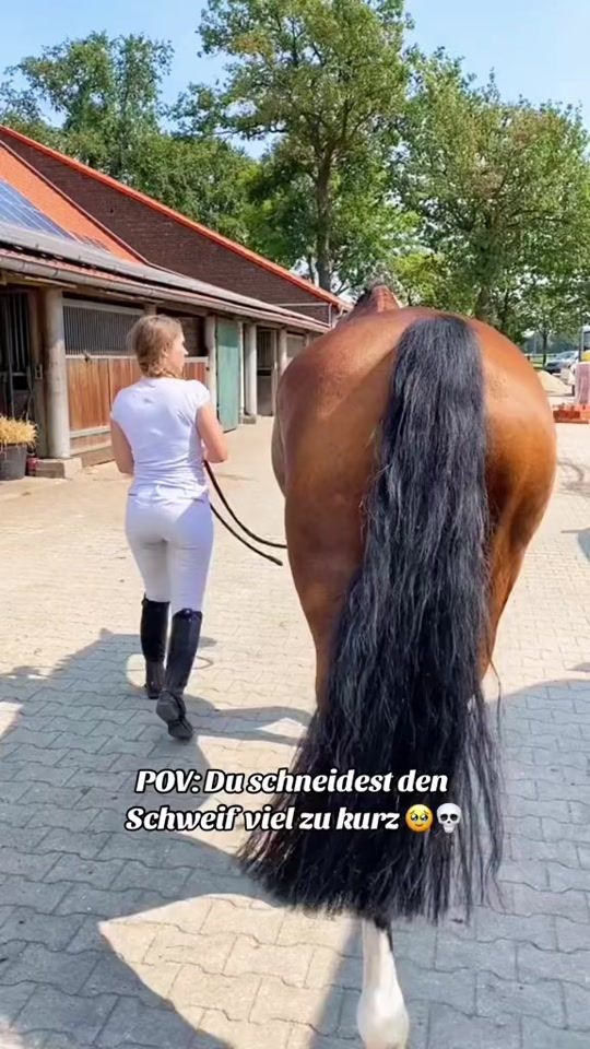 TikTok video thumbnail by umilio_m