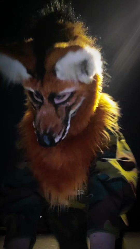 TikTok video thumbnail by _stinky_kyle_