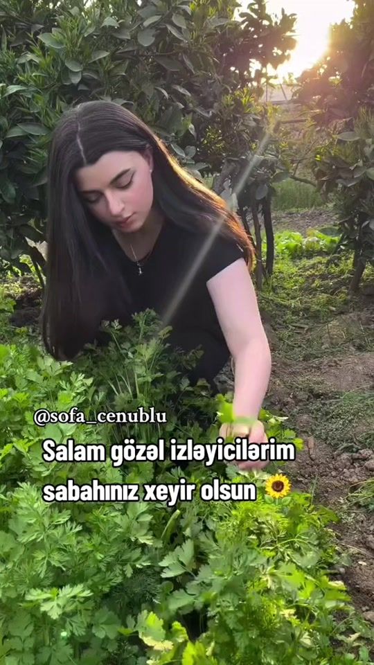 TikTok video thumbnail by sofa_cenublu